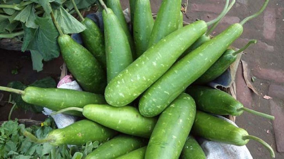 ওজন কমায় লাউ