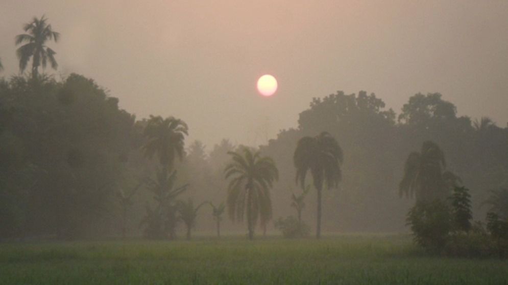 শীত নিয়ে ৫ দিনের পূর্বাভাসে যা জানাল আবহাওয়া অফিস