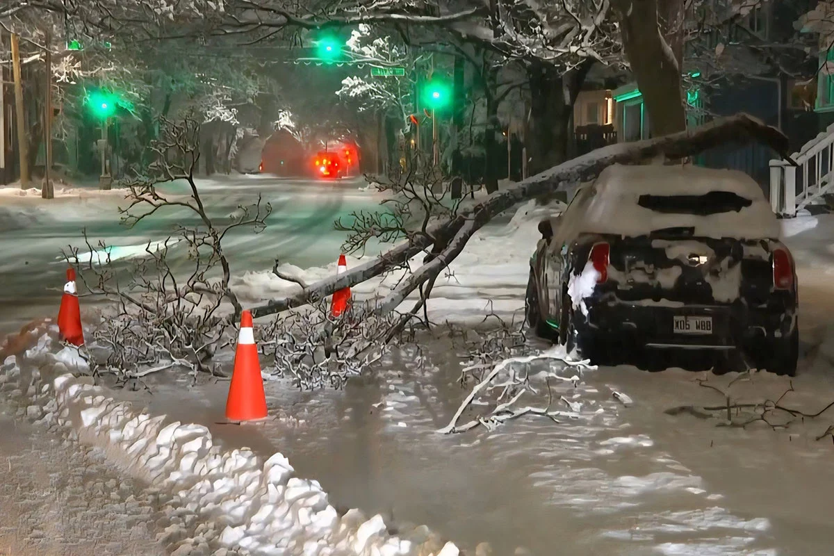 কানাডায় ঝড়ের তাণ্ডব: বিদ্যুৎহীন হাজারো মানুষ, স্কুল বন্ধ ঘোষণা