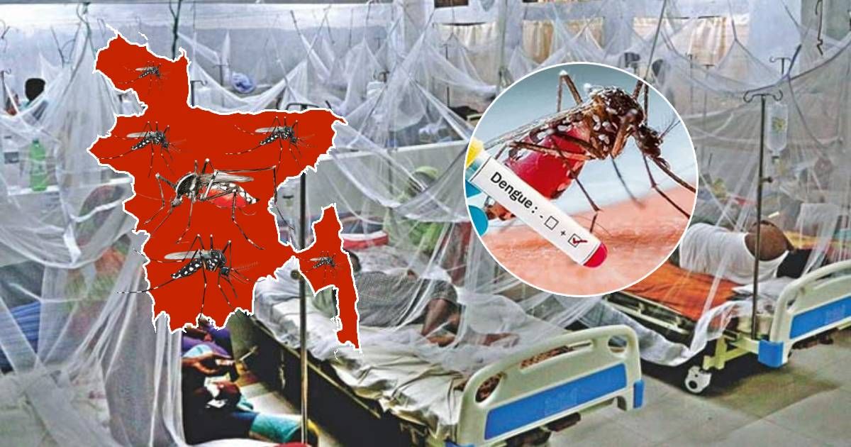 ২৪ ঘণ্টায় সারাদেশে ডেঙ্গু আক্রান্ত হয়ে হাসপাতালে ১১