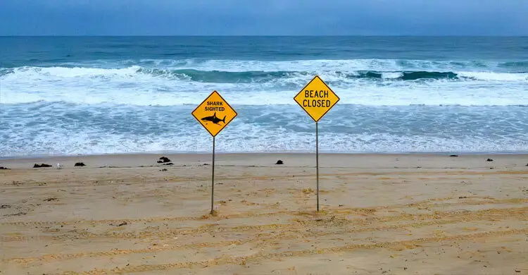 অস্ট্রেলিয়ায় হাঙরের কামড়ে আহত কিশোর মারা গেছে