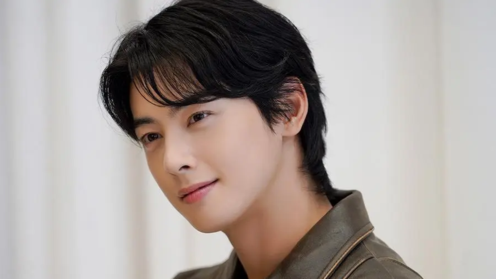 কোরিয়ান শিল্পীর বিরুদ্ধে মোটা অঙ্কের কর ফাঁকির অভিযোগ