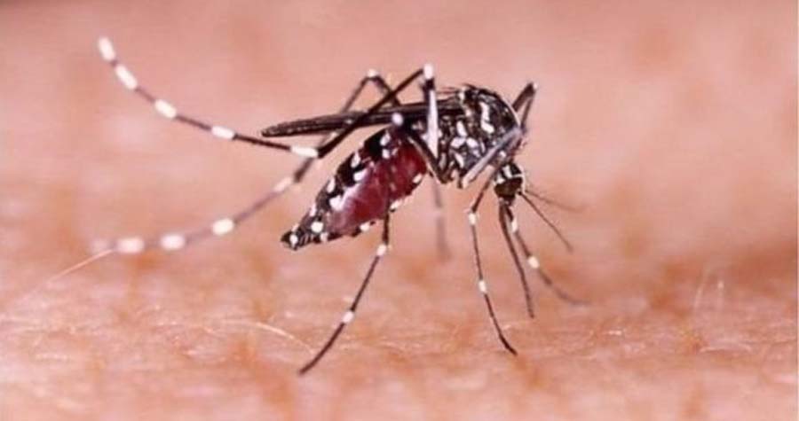 ডেঙ্গুতে চলতি বছর তৃতীয় মৃত্যু