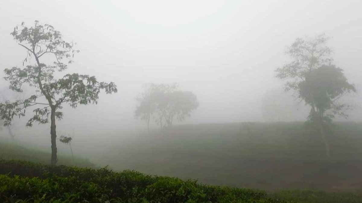 মৌলভীবাজারে দেশের সর্বনিম্ন তাপমাত্রা রেকর্ড