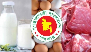 রমজানে সুলভ মূল্যে দুধ, ডিম ও মাংস বিক্রি করবে সরকার
