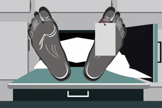 ভোটের উৎসবে বিষাদের ছায়া, সারাদেশে নিহত অন্তত ৭