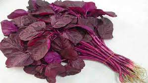 নারীর জন্য লালশাক খাওয়া যে কারণে জরুরি