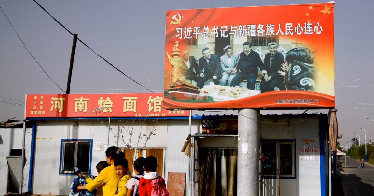 চীনে বাধ্যতামূলক শিখতে হবে ‘ম্যান্ডারিন ভাষা’, সংখ্যালঘু অধিকার নিয়ে শঙ্কা