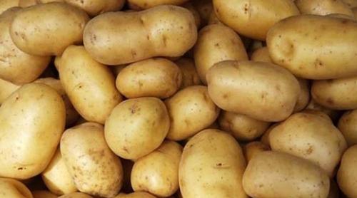 বাংলাদেশি আলু রপ্তানির জন্য ভিয়েতনামের বাজার উন্মুক্ত