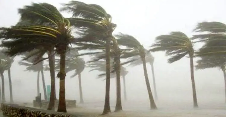 মধ্যরাতে ঝড়ের আভাস