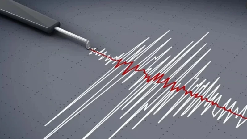 পাকিস্তানের পর ভূমিকম্পে কাঁপল জাপান